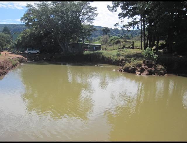 82HA FARM FOR SALE IN NELSPRUIT RURAL